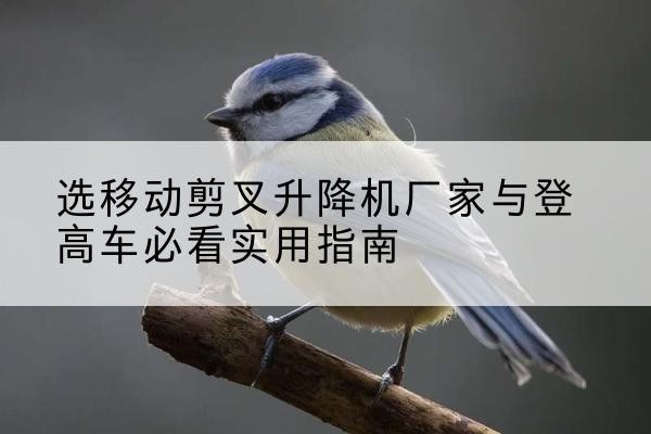 科尔沁左翼后旗电动升降机厂家-选移动剪叉升降机厂家与登高车必看实用指南