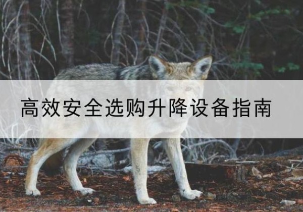 科尔沁左翼后旗升降货梯厂家推荐-*安全选购升降设备指南